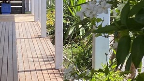 Eine Holzterrasse mit weißen Säulen, umgeben von Grünpflanzen und weißen Blüten.