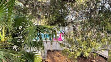 Terrein van de accommodatie