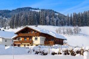 Exterior - Cozy Studio #5 - 5 mins to ski lift (Flachau)
