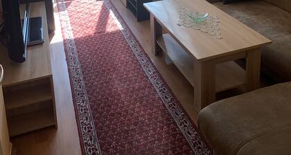 One bedroom apartment near downtown