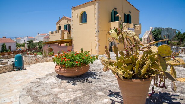 Un bâtiment à la façade beige et aux volets verts, une enseigne indiquant « Skandalis », et des plantes en pot avec des fleurs rouges et des cactus.