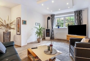 Smart TV, fireplace, DVD player, books
