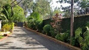 Une allée de gravier mène à un bâtiment bordé d’une haie et de diverses plantes.