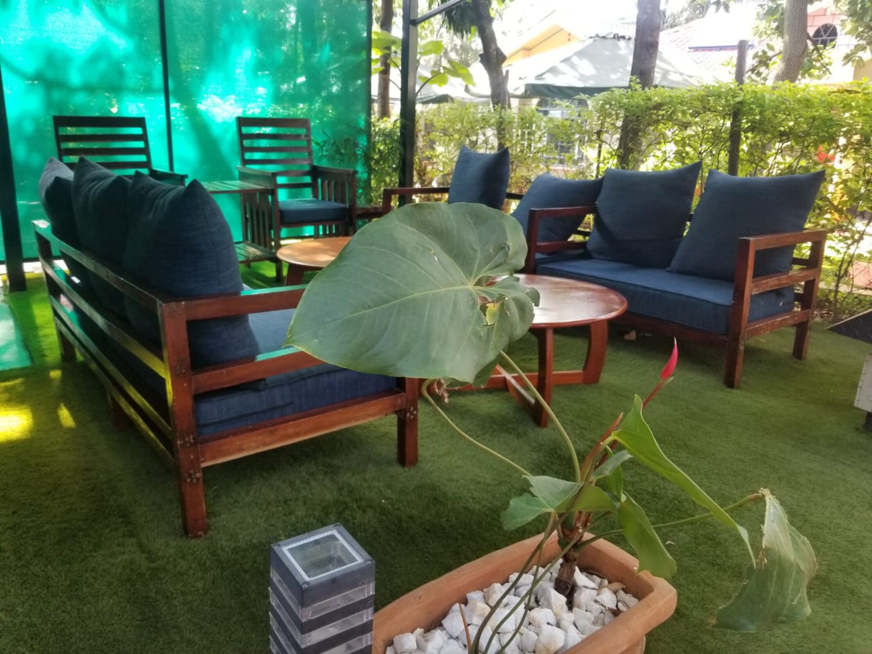 Un área de patio con mobiliario de madera, incluyendo un sofá y sillones, una mesa redonda y una planta en maceta.