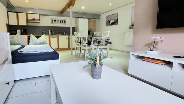 A modern, compact living space with a bed, kitchenette, dining area, and a TV mounted on the wall. - 3 person vacation apartment in the countryside with plenty of space to linger (Mörlenbach)