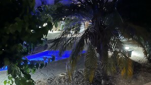 A landscaped area with a palm tree, a small pool, and a building in the background. - 2 Bedroom Ground Floor Apartment Close to Shops, Restaurants, Old Town and beach (Paphos)