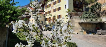 Lovely vacation apartment for active people and those seeking peace and quiet in Silandro/Schlanders.