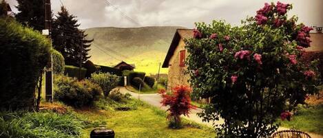 Jardines del alojamiento