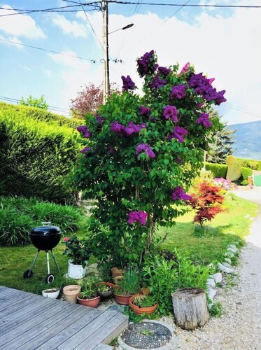 Beautiful Savoyard house near Lac d'Aiguebelette