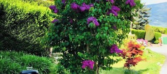 Belle maison savoyarde proche lac d'Aiguebelette