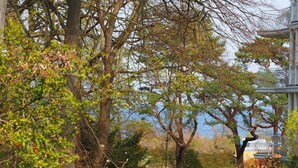 A park with trees, a bench, and a fence. - 1-room apartment with terrace (Seebad Heringsdorf)
