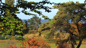 Un parc avec différents types d'arbres et une étendue d'eau en arrière-plan.