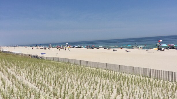 A beach with rows of grass planted in the sand, a wooden fence, and umbrellas in the distance. - Crisp and clean beach block home (monterey beach)