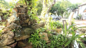 Un jardin de rocaille agrémenté d’une petite cascade et d’une végétation luxuriante.