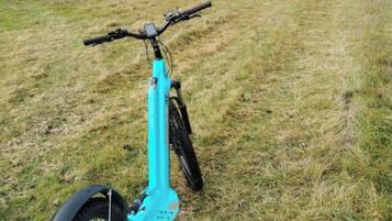 Ein turquoisefarbenes E-Bike in einer Wiese, im Hintergrund sind Gebäude zu sehen.