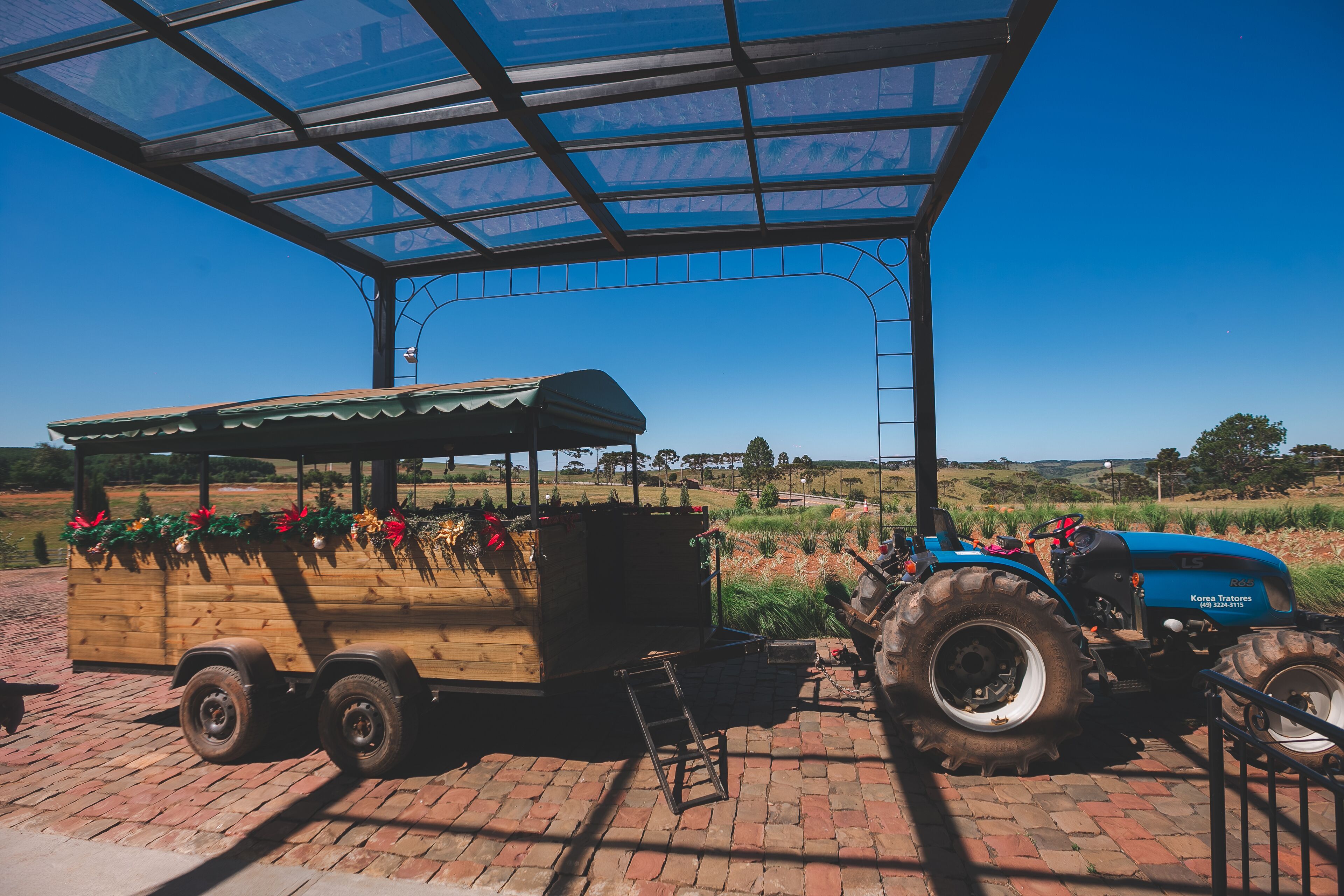 A wooden wagon with flowers, a blue tractor, and a covered area with a metal frame.