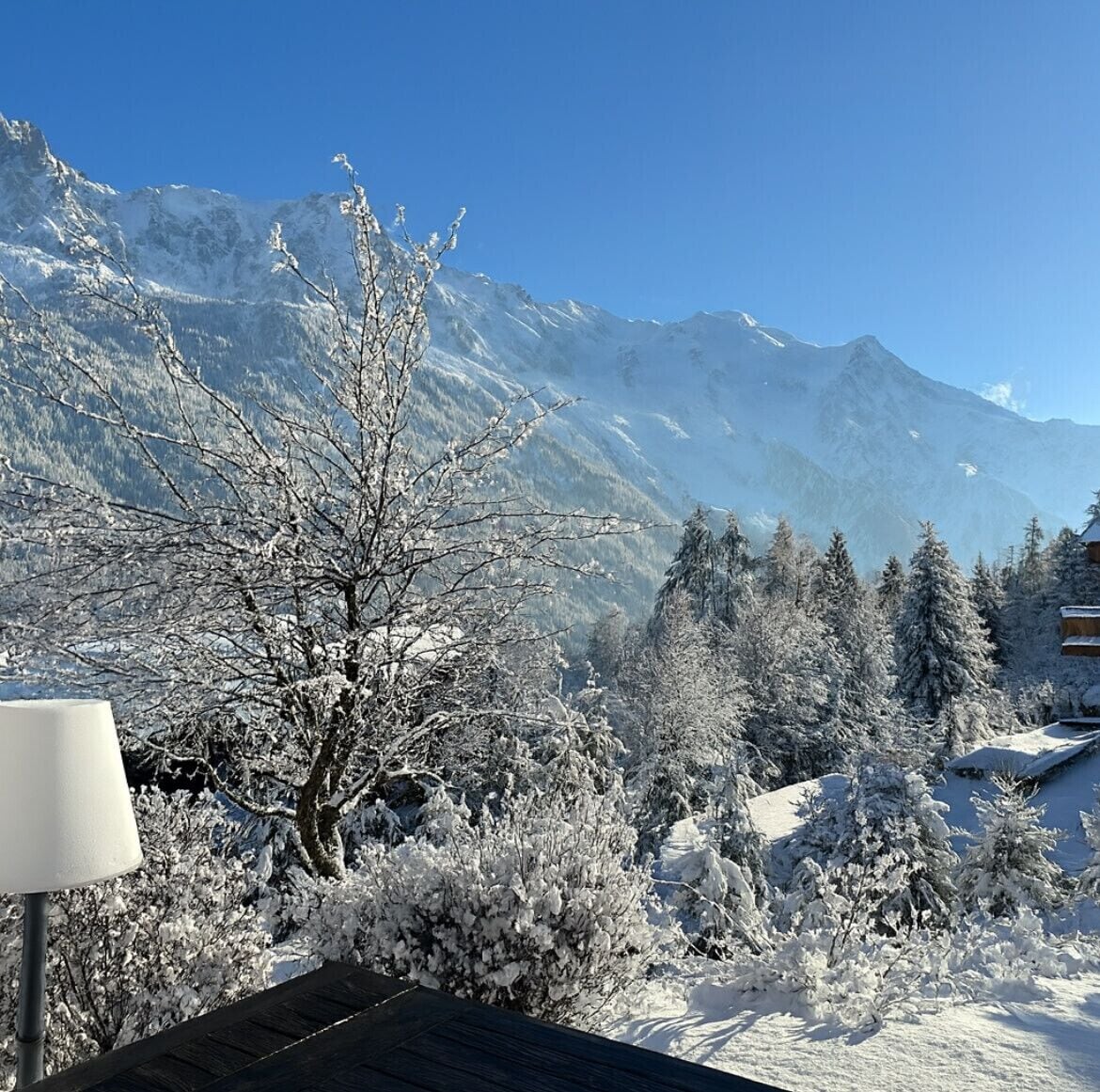 Un paisaje montañoso nevado con cielo despejado, un árbol desnudo y edificios cubiertos de nieve.