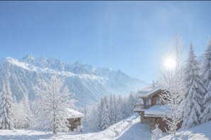 Unclassified image, 5 of 18, button