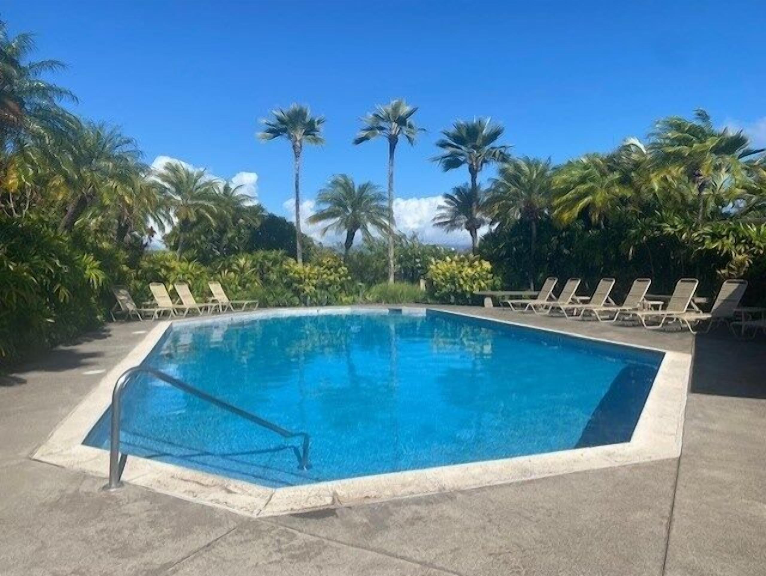 Una piscina rectangular con superficie de agua azul cristalina, rodeada de sillas de descanso y palmeras.