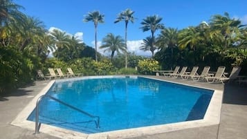 Una piscina rectangular con superficie de agua azul cristalina, rodeada de sillas de descanso y palmeras.