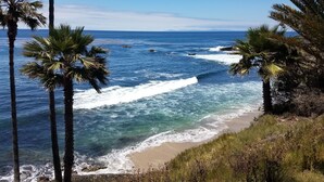 Küstensicht mit Palmen und Strand.