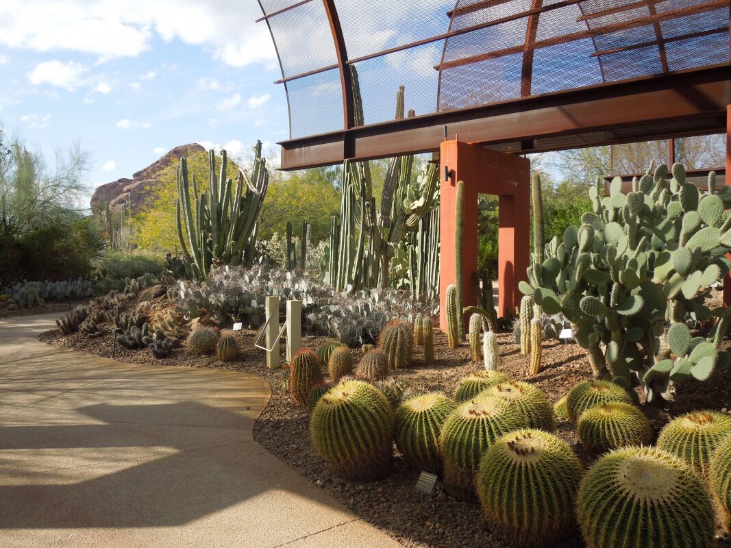 Fun for the Whole Family! 4 Pet-Friendly Units, Shuttle, Onsite Bar, Near Hiking
