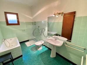 Bathtub, hair dryer, bidet