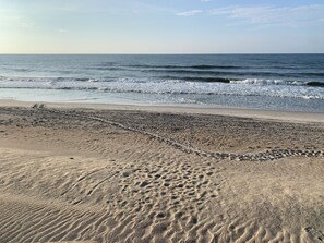 Am Strand