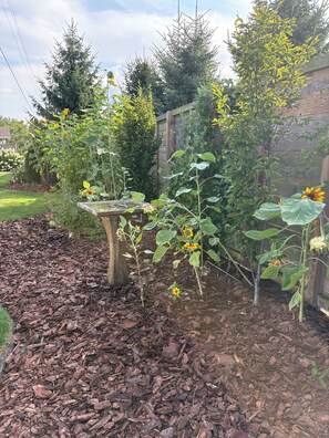 A garden with a birdbath, various plants, and a wooden fence. - Brand new listing this season
Hickory Lakehouse (Wheatley)