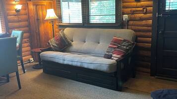 TV, DVD player, books, video library