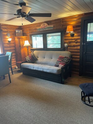 TV, DVD player, books, video library