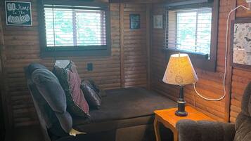 TV, DVD player, books, video library