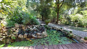 A garden with a pond, rocks, and various plants. - Recanto da Serra do Mendanha (RJ)