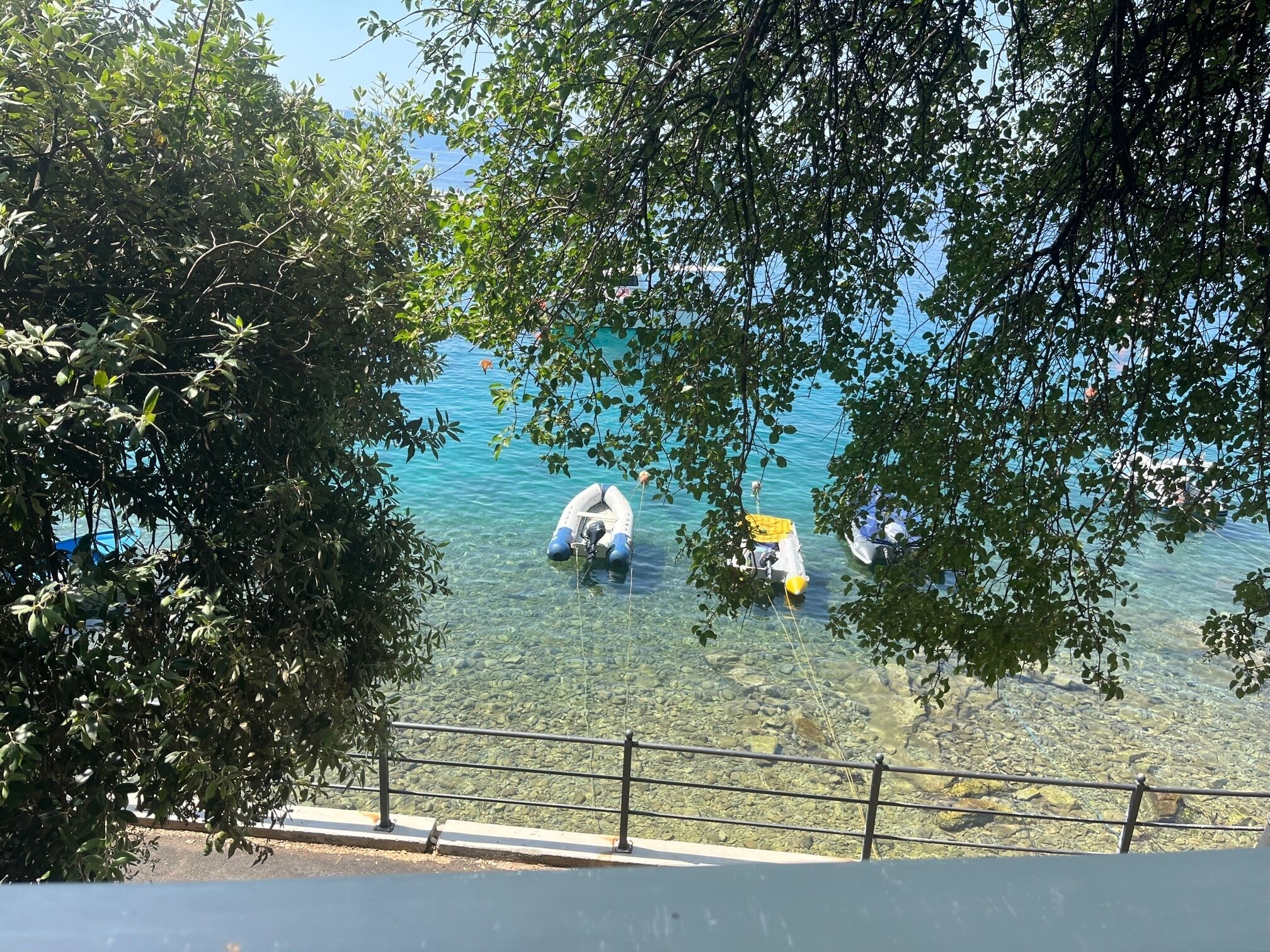 許家茶園民宿露營區評價、繡球花季美景、舒適衛浴與親切主人 – 高山露營秘境 - 照片 20