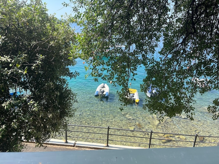 許家茶園民宿露營區評價、繡球花季美景、舒適衛浴與親切主人 – 高山露營秘境 - 照片 20