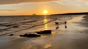 A beach with two dogs near the water's edge during sunset. - Stunning sea views, dog friendly holiday accommodation in North Berwick (North Berwick)