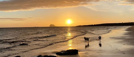 Una playa cerca