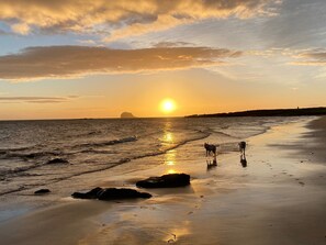 Beach nearby - Stunning sea views, dog friendly holiday accommodation in North Berwick (North Berwick)
