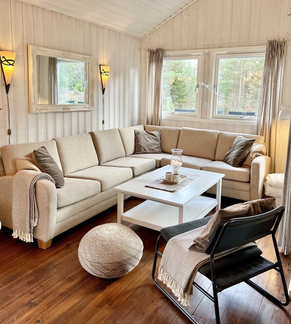 智能电视、壁炉