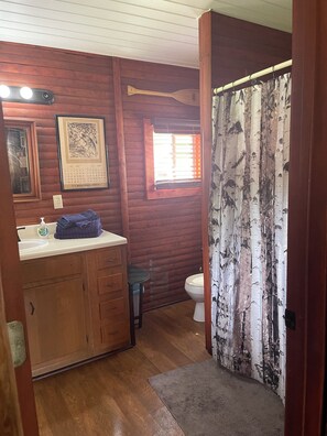 Shower, hair dryer, towels, soap - Cozy cabin on Island Lake (Winter)