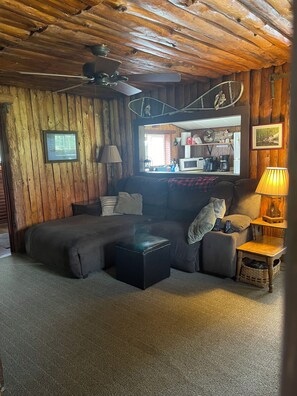 TV, DVD player, books, video library - Cozy cabin on Island Lake (Winter)