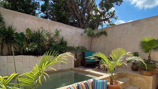 A pool area with a built-in seating area, surrounded by potted plants and a stone wall. - Casa Dali, A+ location lovely house Paseo Montejo (Centro)