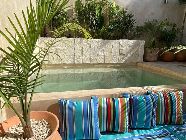 Alberca al aire libre 