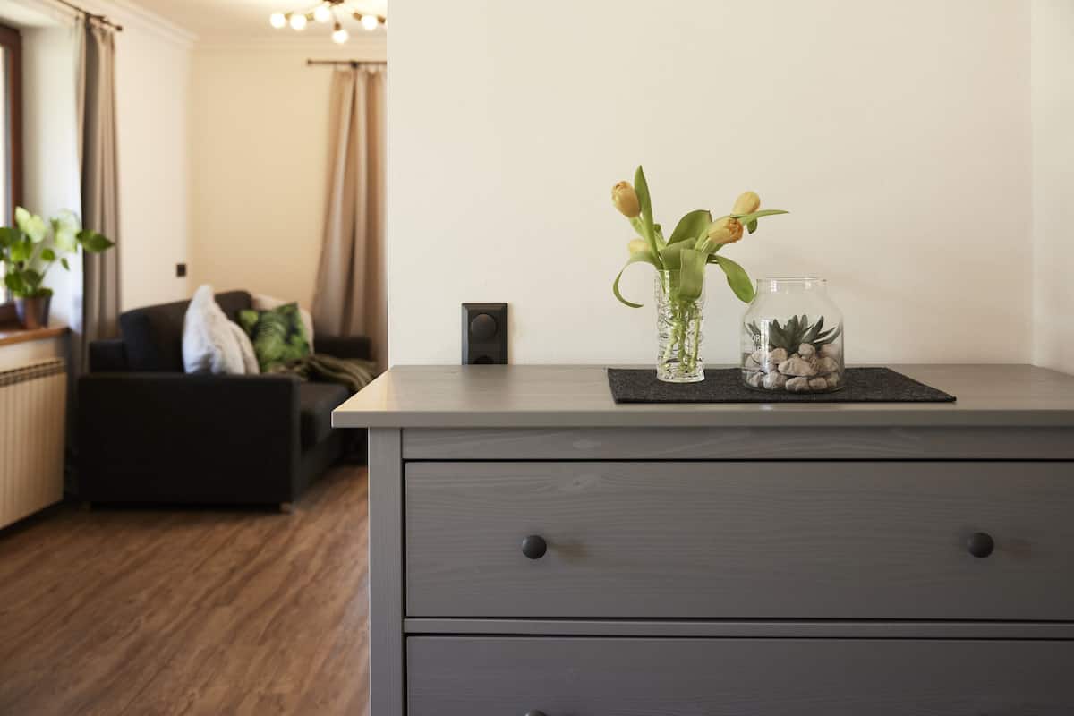 Ett modernt vardagsrum med en grå soffa, ett litet bord med en vas med blommor och ett glasterrarium.