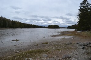 Playa en los alrededores, camastros y toallas de playa 