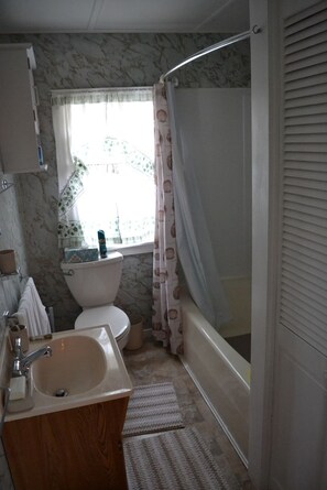 Tina con regadera, secadora de cabello, toallas, jabón 