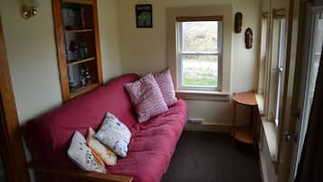 Smart TV, fireplace, DVD player, books