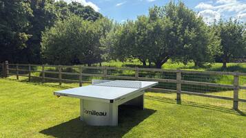A table tennis table labeled "Cornilleau" in a grassy outdoor area with a wooden fence and trees in the background.
