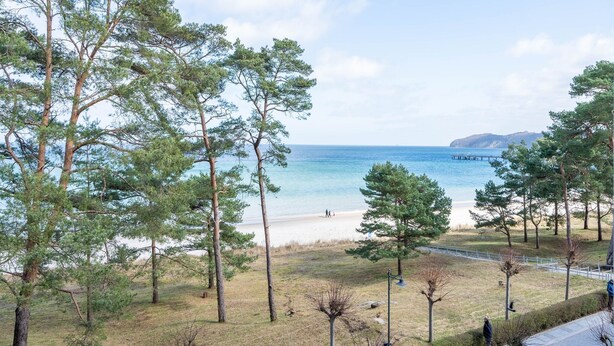 A beach with pine trees, a clear sky, and a distant view of a peninsula. - Apartment with sea view and 1 bedroom (Ostseebad Binz)