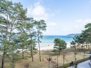 Een strand met pijnbomen, een heldere lucht en een verre vergezichten van een schiereiland.